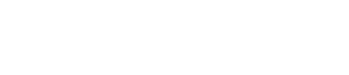 White version of DisputeBee logo