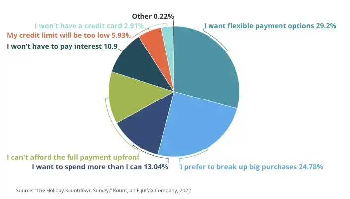 BNPL usage