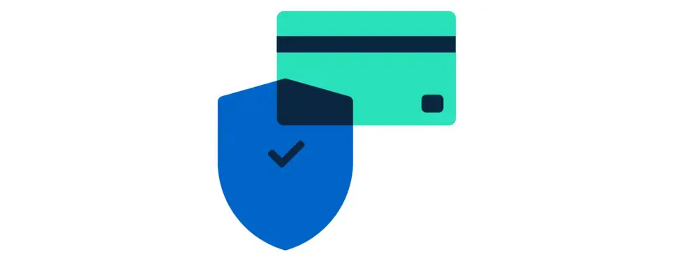 Retain payment processing capabilities