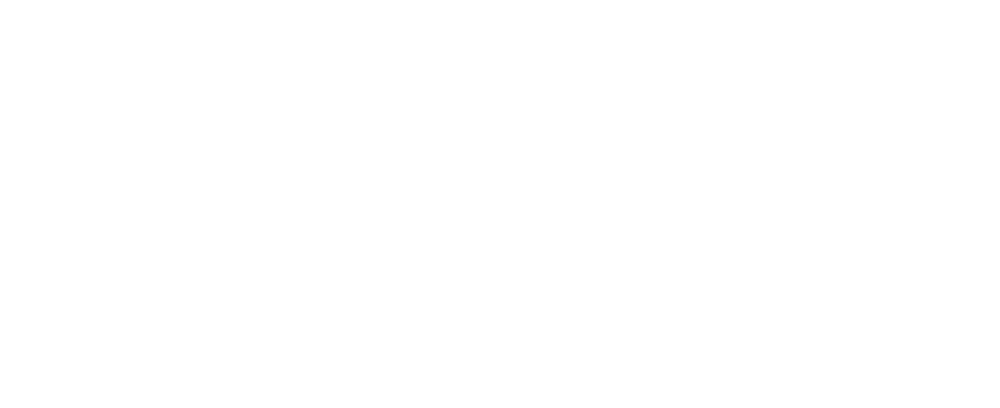 Visa Verifi