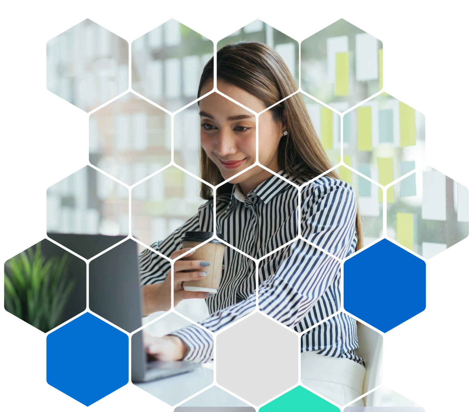 Visa CE 3.0